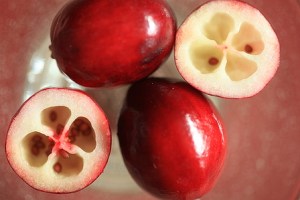 Picture from http://jpgmag.com/